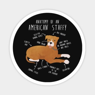 American Staffordshire Terrier Amstaff Anatomy Magnet